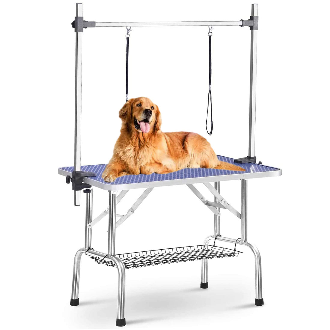 Professional Foldable Dog Grooming Table with Arm & Tray