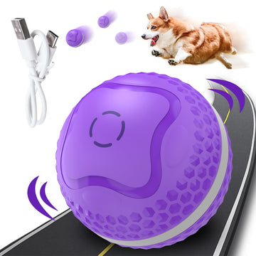Automatic Moving & Rolling Interactive Dog Toy Ball