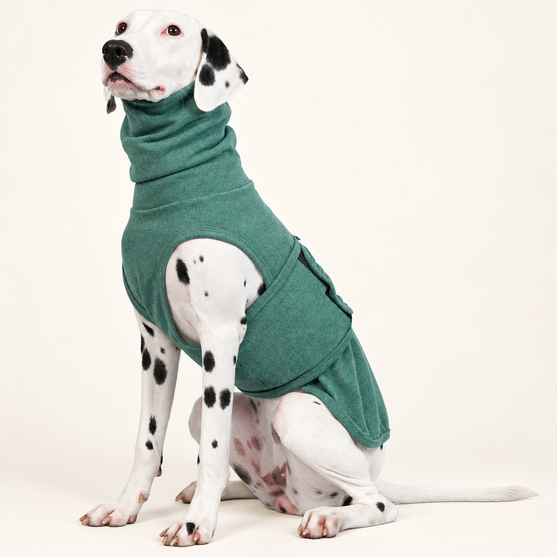 Dog Anxiety Calming Jacket with Ear Cover & Hoodie — catalog view